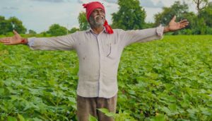 We helped farmers today