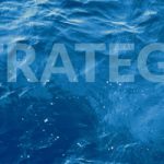 Blue Ocean Strategy Talk by Prof. C Scott Hindell