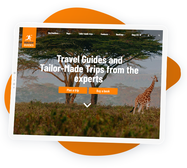 RoughGuides - Web Development by Digicorp